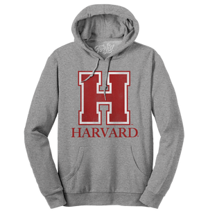 Grey 2025 harvard sweatshirt