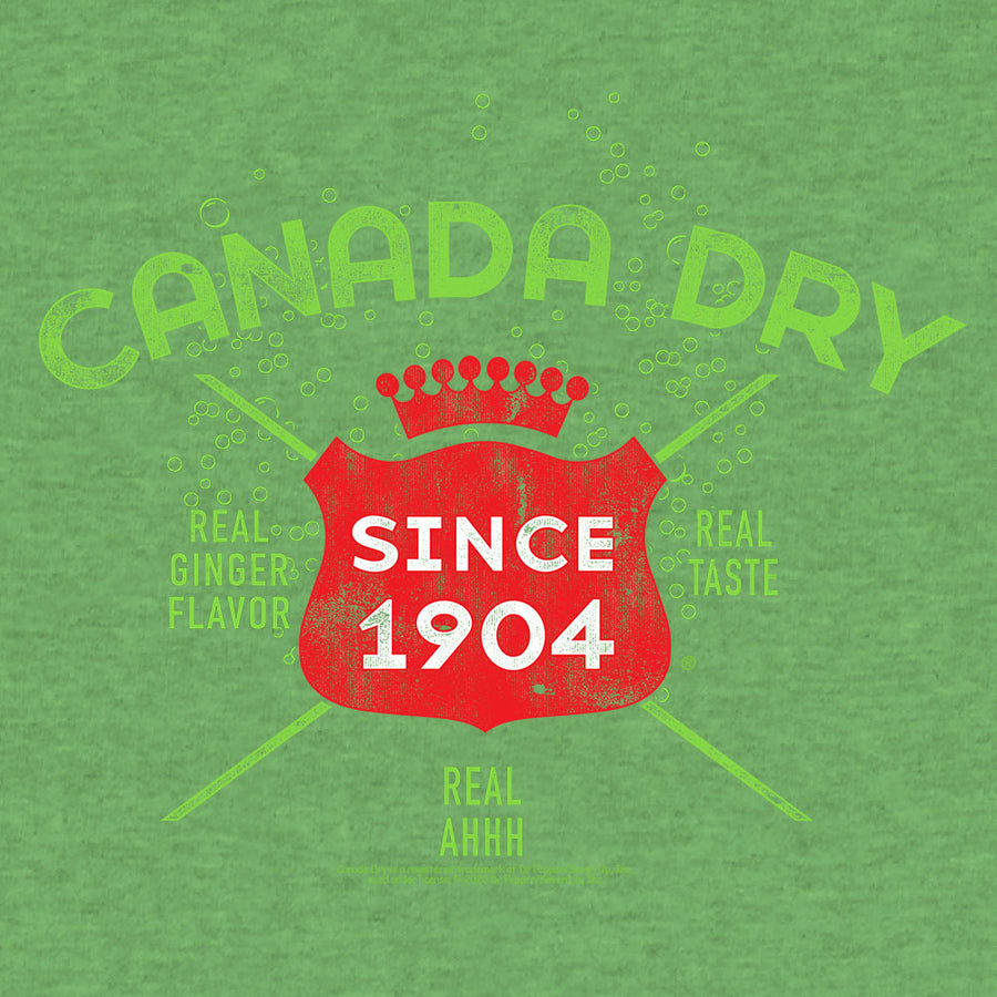 Vintage Faded Canada Dry Ginger Ale T-Shirt - Heather Kelly Green