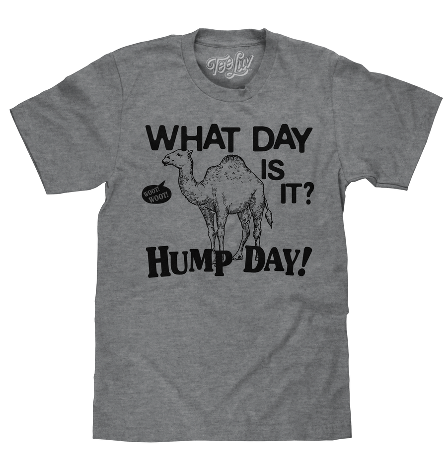 What Day Is It? Hump Day Camel T-Shirt - Gray